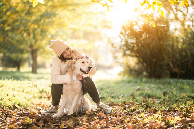 Chenils et gardes d'animaux de compagnie